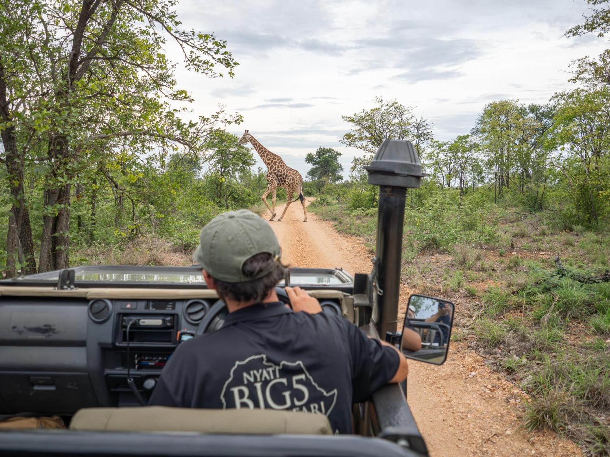 Nyati Safari Lodge Hoedspruit Εξωτερικό φωτογραφία